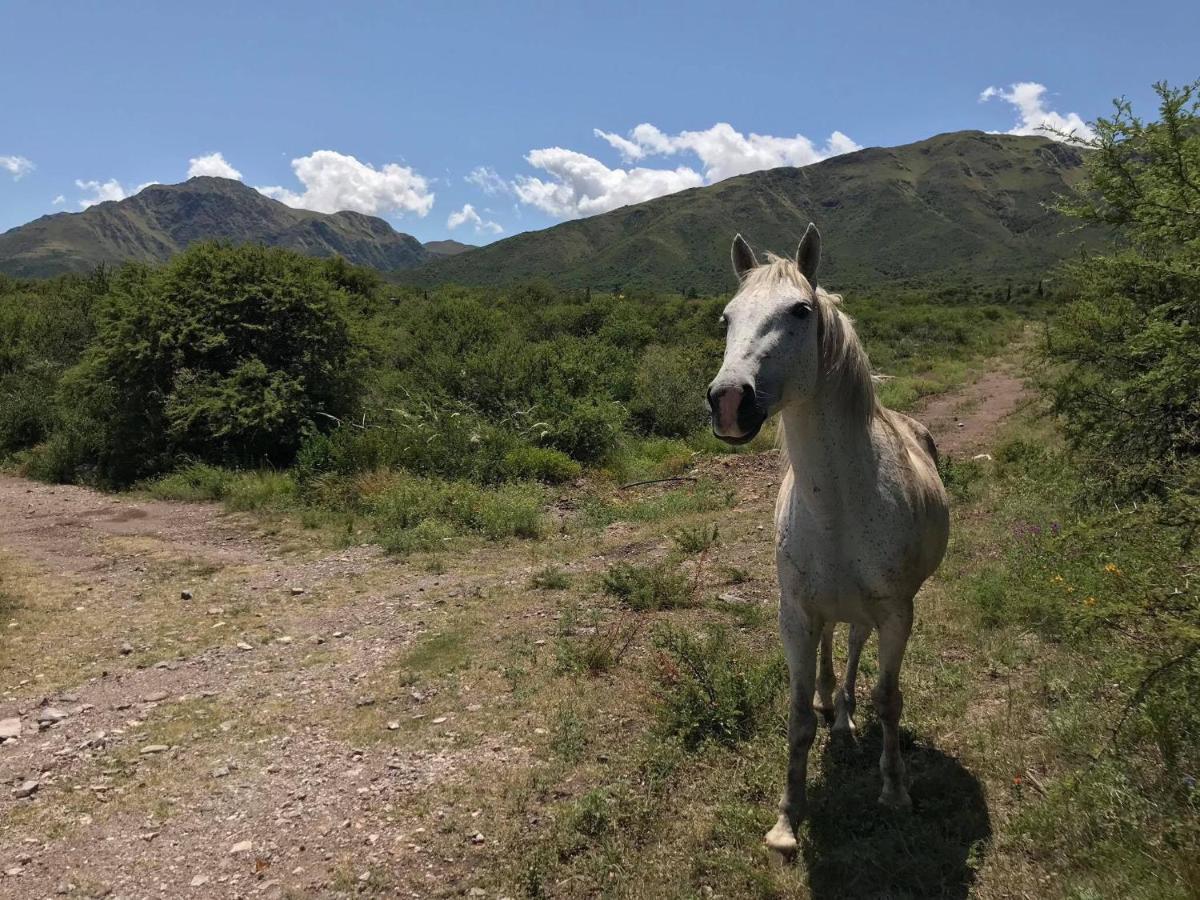 Cabanas Taos Pueblo カピージャ・デル・モンテ エクステリア 写真
